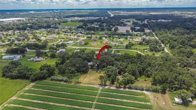 3102 E Trapnell Rd, Plant City, FL 33566 - photo 50