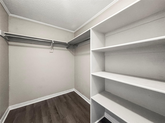 1018 Osprey Ct, Dunedin, FL 34698 - walk in closet with wood finished floors