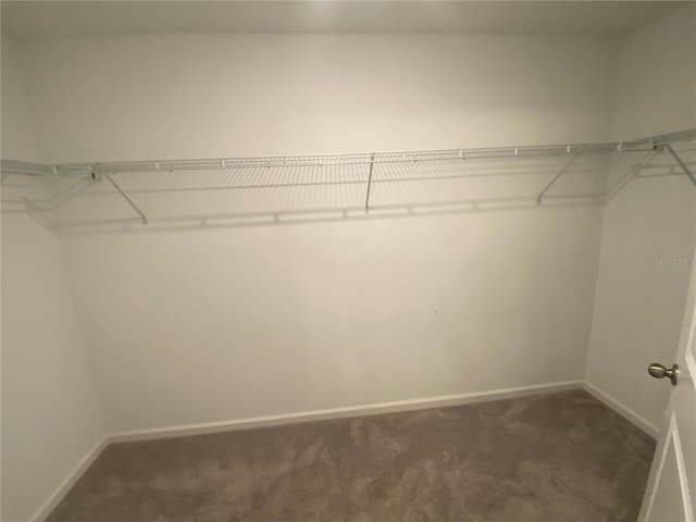35233 White Water Lily Way, Zephyrhills, FL 33541 - spacious closet featuring carpet flooring