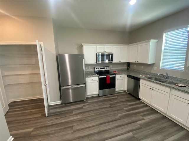 35233 White Water Lily Way, Zephyrhills, FL 33541 - kitchen with stainless steel appliances, white cabinets, stone counters, and dark wood-type flooring
