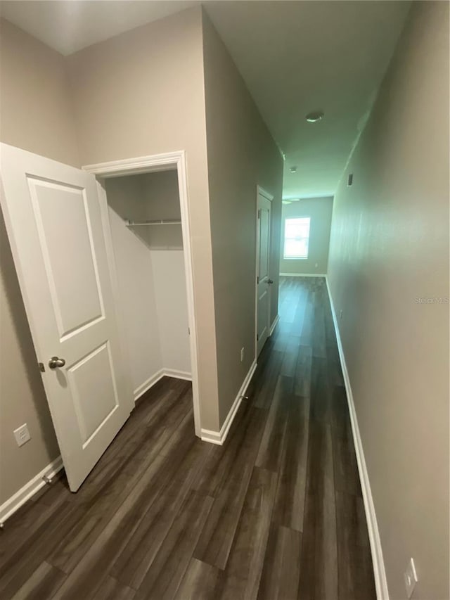 35233 White Water Lily Way, Zephyrhills, FL 33541 - hall with dark wood-style flooring and baseboards