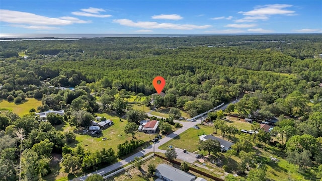 10323 Saranac Trl, Hudson, FL 34667 - photo 6