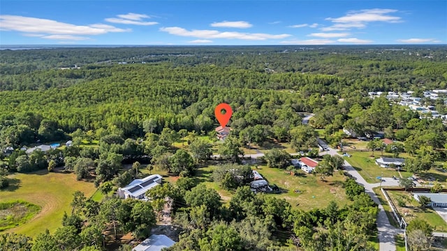 10323 Saranac Trl, Hudson, FL 34667 - photo 7