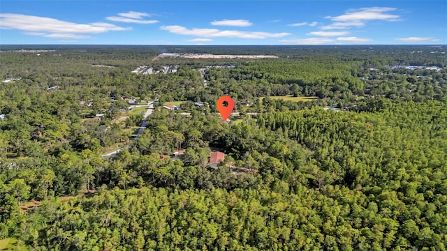 10323 Saranac Trl, Hudson, FL 34667 - photo 8