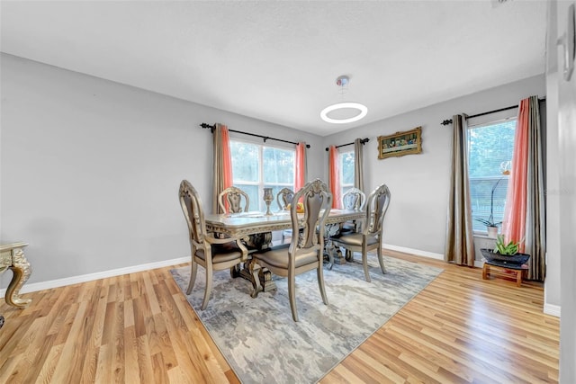 10323 Saranac Trl, Hudson, FL 34667 - photo 16