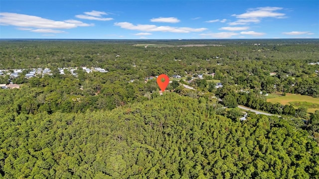 10323 Saranac Trl, Hudson, FL 34667 - photo 65