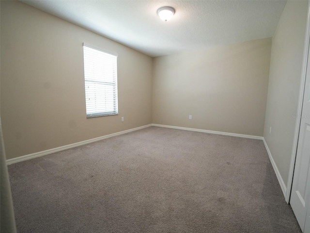 9650 Sage Creek Dr, Ruskin, FL 33573 - photo 35