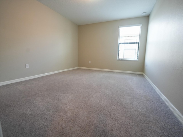 9650 Sage Creek Dr, Ruskin, FL 33573 - photo 46