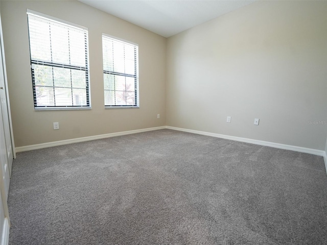 9650 Sage Creek Dr, Ruskin, FL 33573 - photo 48