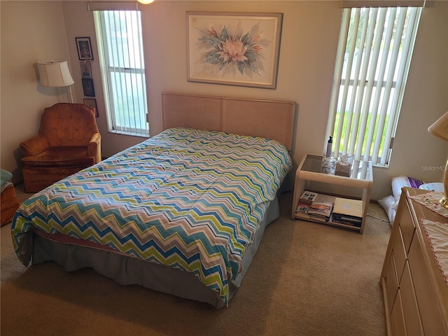 3849 Sailmaker Ln Unit 0, Holiday, FL 34691 - carpeted bedroom with multiple windows