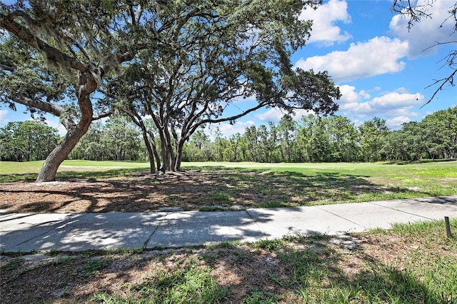 6 Strawood Pt, Homosassa, FL 34446 - photo 13