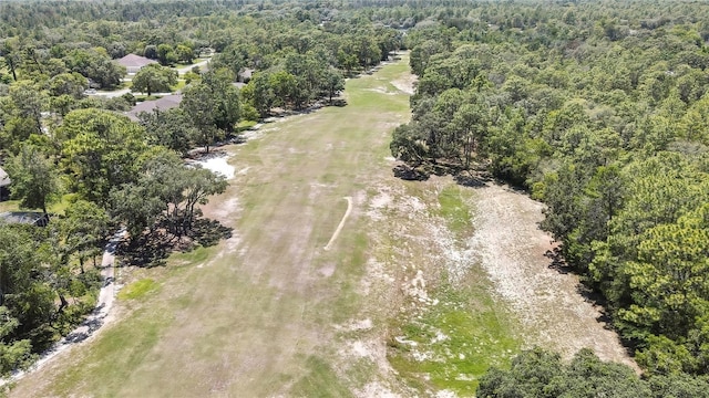 6 Strawood Pt, Homosassa, FL 34446 - photo 28