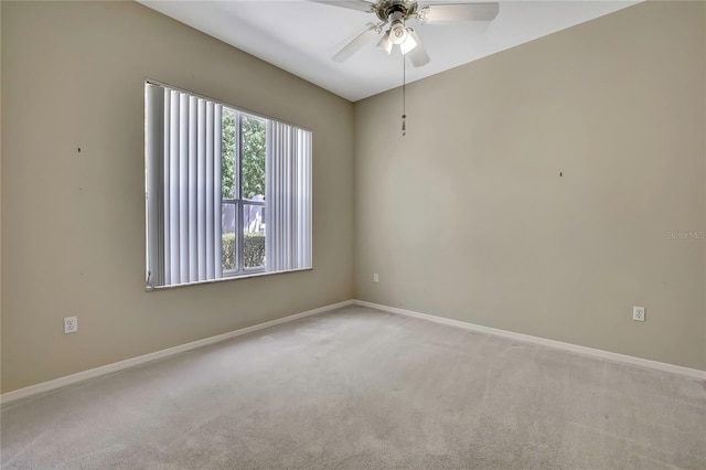 6 Strawood Pt, Homosassa, FL 34446 - photo 67
