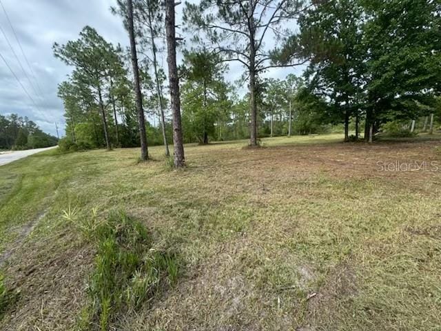 18146 Palmdale Rd, Weeki Wachee, FL 34614