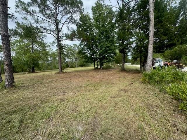 18146 Palmdale Rd, Weeki Wachee, FL 34614