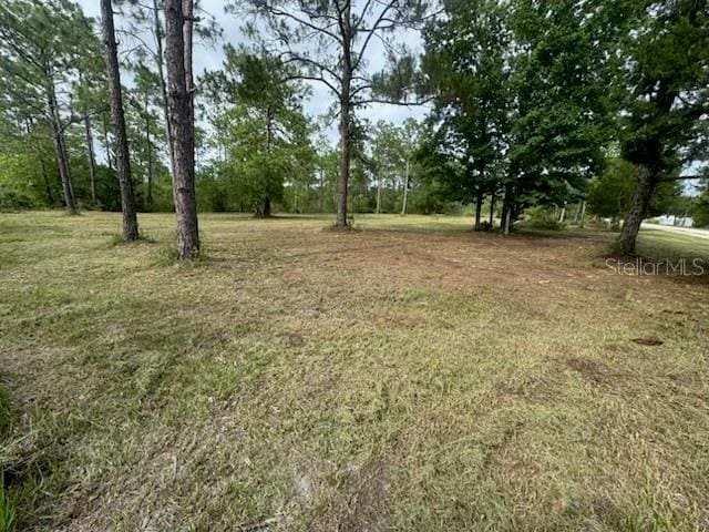 18146 Palmdale Rd, Weeki Wachee, FL 34614