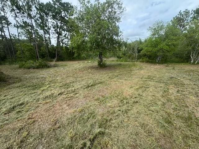 18146 Palmdale Rd, Weeki Wachee, FL 34614