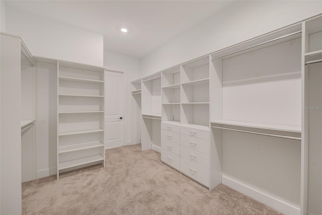 8717 Sanders Tree Loop, Wesley Chapel, FL 33545 - spacious closet featuring light carpet