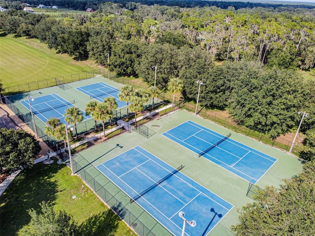 6124 Skylarkcrest Dr, Lithia, FL 33547 - photo 34