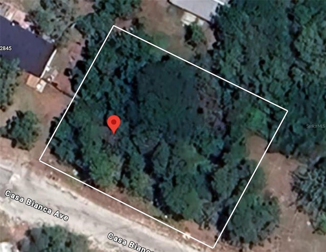 12905 Casa Bianca Ave, New Port Richey, FL 34654 - photo 2