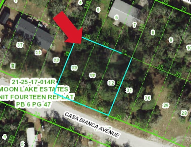 12905 Casa Bianca Ave, New Port Richey, FL 34654 - photo 4