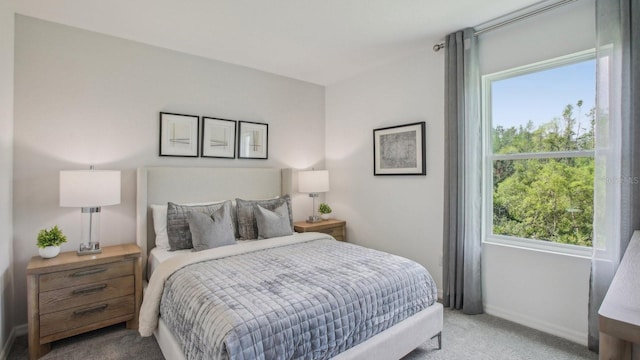 2615 Hardin Way, Zephyrhills, FL 33541 - carpeted bedroom with baseboards