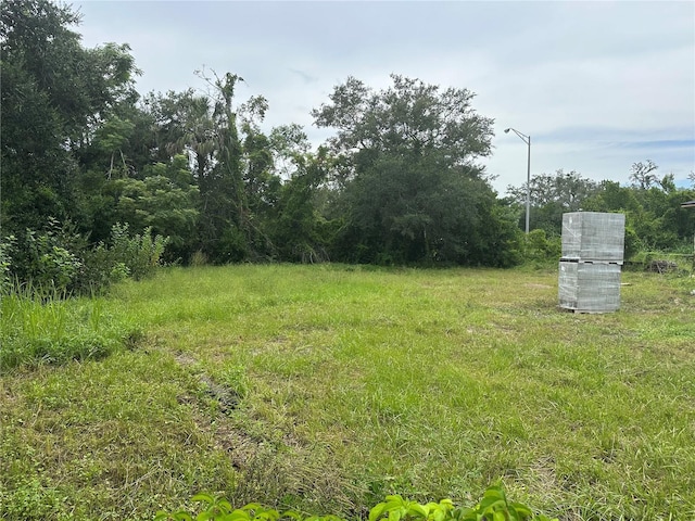 3610 Temple St, Tampa, FL 33619 - photo 9
