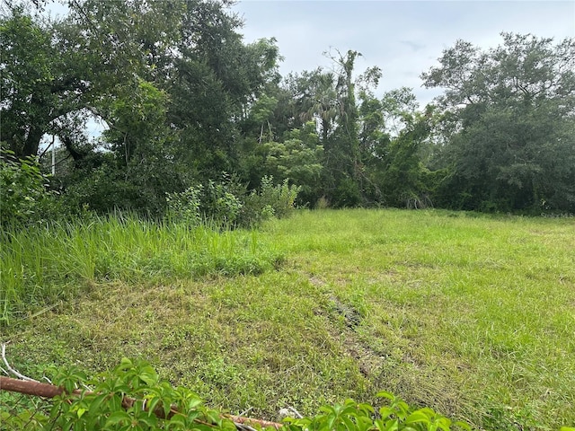 3610 Temple St, Tampa, FL 33619 - photo 10