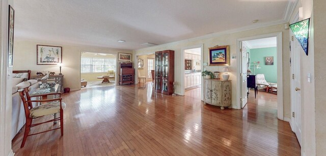 1417 Beach Dr NE, Saint Petersburg, FL 33704 - photo 10
