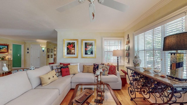 1417 Beach Dr NE, Saint Petersburg, FL 33704 - photo 12