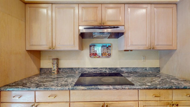 1417 Beach Dr NE, Saint Petersburg, FL 33704 - photo 20