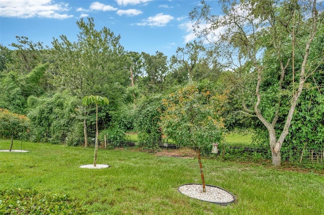 11240 Merganser Way, New Port Richey, FL 34654 - view of grassy yard