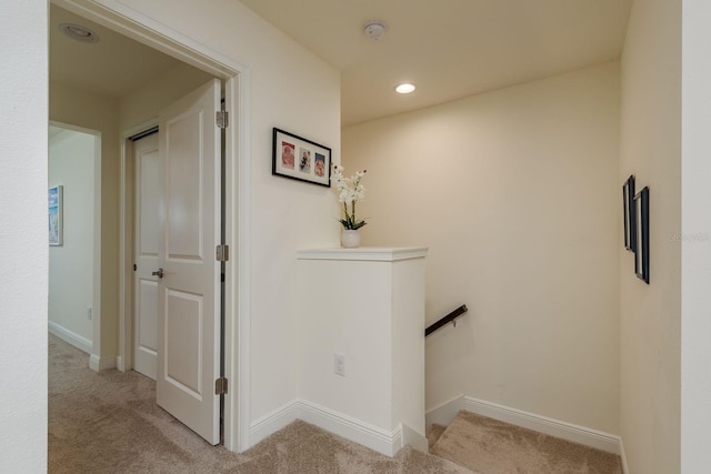 1710 Sunset Wind Loop, Oldsmar, FL 34677 - photo 19