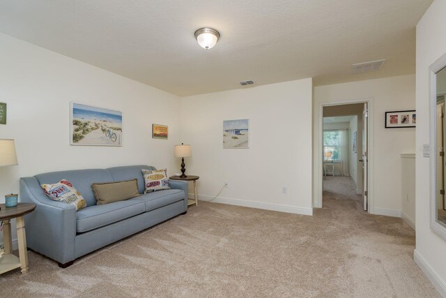 1710 Sunset Wind Loop, Oldsmar, FL 34677 - photo 21