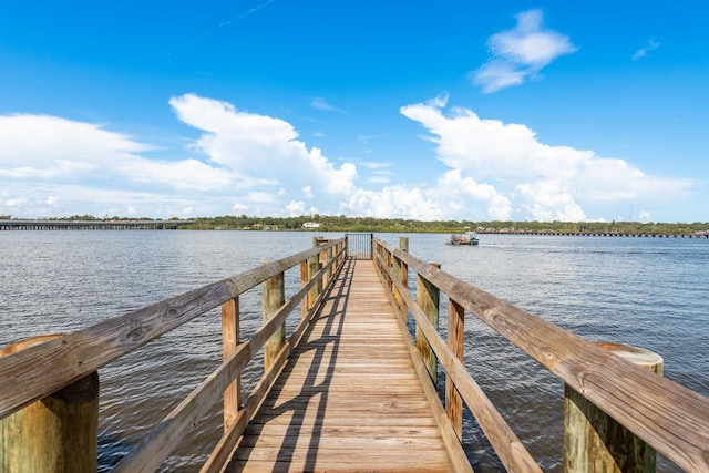 1710 Sunset Wind Loop, Oldsmar, FL 34677 - photo 58