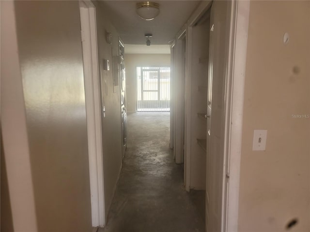 5125 Puritan Cir Unit 1103, Tampa, FL 33617 - photo 31
