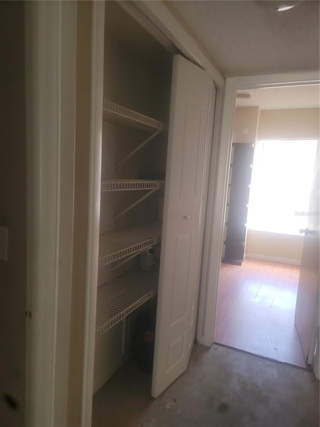 5125 Puritan Cir Unit 1103, Tampa, FL 33617 - photo 34
