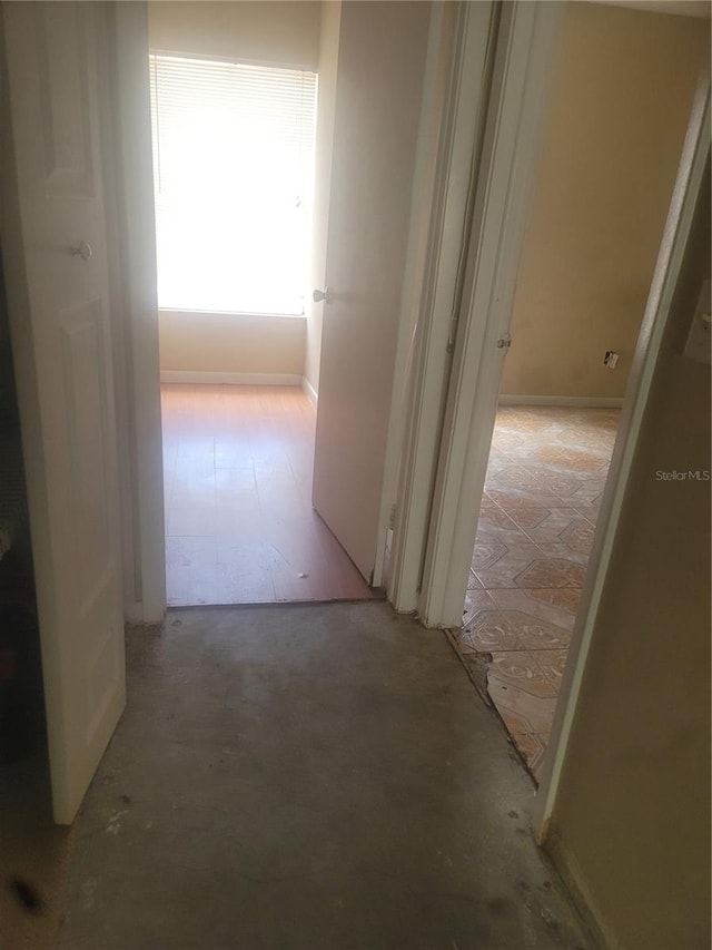 5125 Puritan Cir Unit 1103, Tampa, FL 33617 - photo 35
