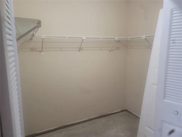 5125 Puritan Cir Unit 1103, Tampa, FL 33617 - photo 41