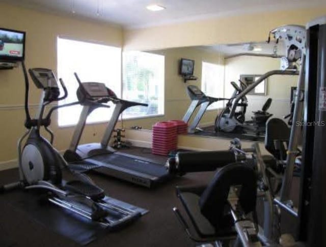 5125 Puritan Cir Unit 1103, Tampa, FL 33617 - photo 45