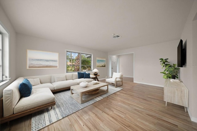 911 Sago Palm Way, Apollo Beach, FL 33572 - photo 10