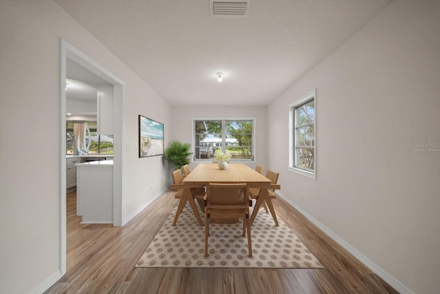 911 Sago Palm Way, Apollo Beach, FL 33572 - photo 11