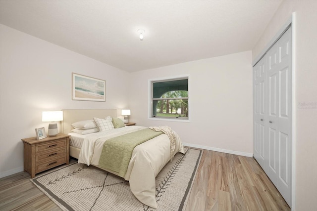 911 Sago Palm Way, Apollo Beach, FL 33572 - photo 13