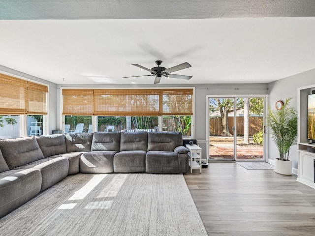 3750 Avocado Rd, Largo, FL 33770 - photo 14