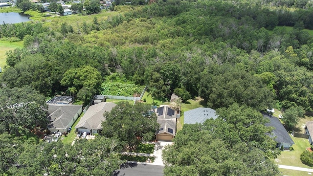 1324 Gangplank Dr, Valrico, FL 33594 - photo 49
