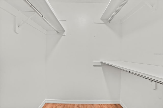 7108 14th Ave NW, Bradenton, FL 34209 - walk in closet featuring light wood finished floors