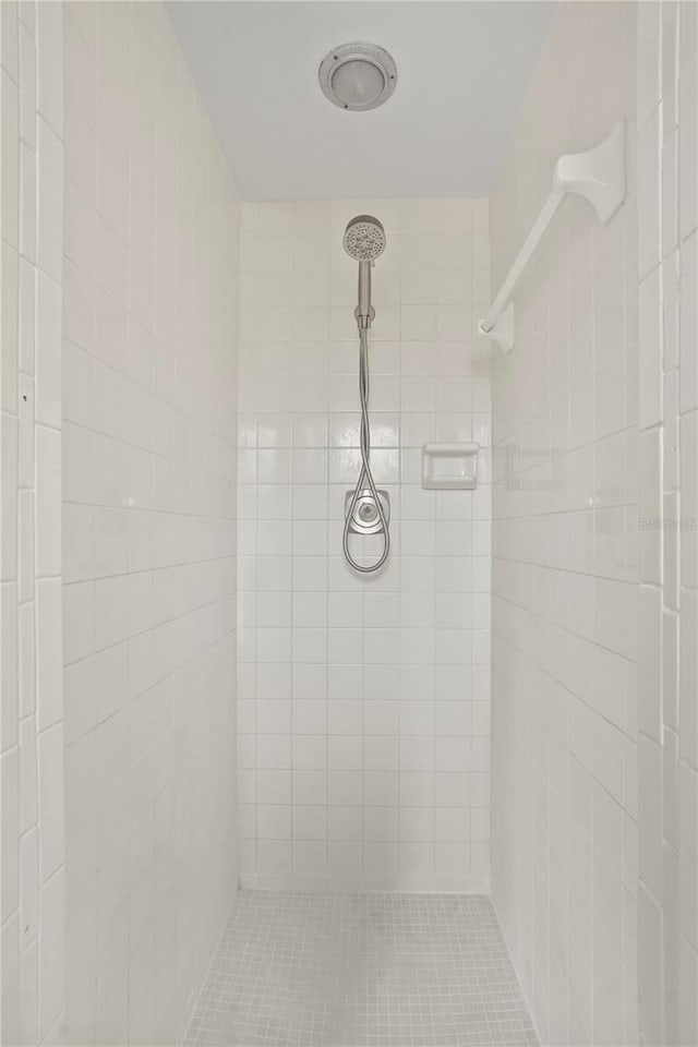 7108 14th Ave NW, Bradenton, FL 34209 - bathroom with tiled shower