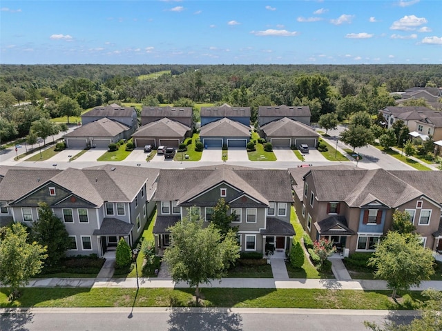 5610 Balcony Bridge Pl, Lithia, FL 33547 - photo 29