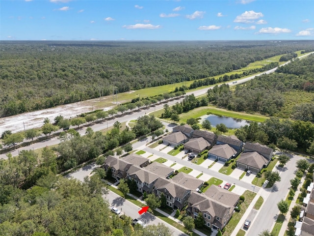 5610 Balcony Bridge Pl, Lithia, FL 33547 - photo 34