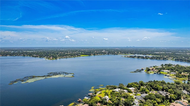 436 E 7th Ave, Windermere, FL 34786 - photo 73